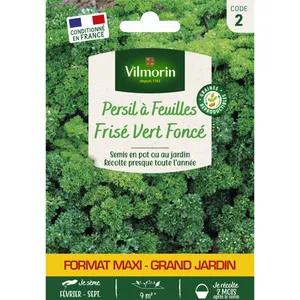 VILMORIN Persil frisé vert foncé format eco pas cher