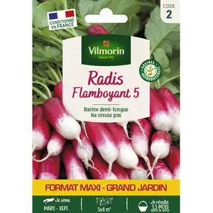 VILMORIN Radis flamboyant 5 format éco pas cher