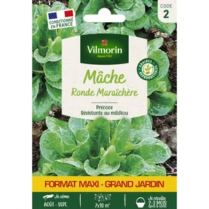 VILMORIN Mâche ronde maraîchère format eco pas cher