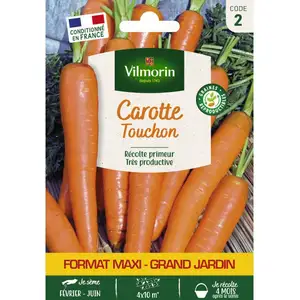 Graine - VILMORIN - Carotte Touchon - Hiver - Soleil - Légumes pas cher