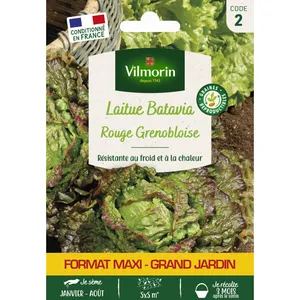 VILMORIN Laitue Batavia Rouge Grenobloise - Grand Modèle pas cher