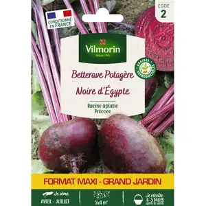 VILMORIN Betterave potagère noire d'Egypte plate pas cher