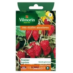 Comparateur de prix : VILMORIN Fraisier des 4 saisons suprême