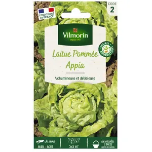 VILMORIN Laitue Pommee Appia pas cher