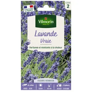 VILMORIN Lavande vraie pas cher