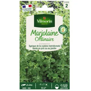 VILMORIN Marjolaine ordinaire