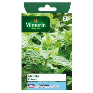 VILMORIN Menthe poivrée pas cher