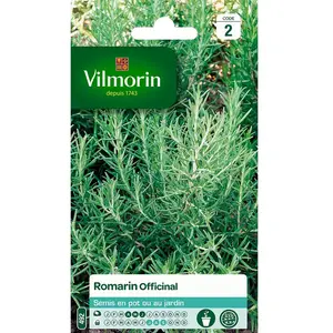 Graines de romarin variété "Officinal" Vilmorin semis d'avril à juinVendu parcdiscount
