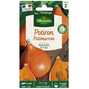 Graines de potiron variété "Potimarron" Vilmorin semis d'avril à mai pas cher
