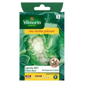 Vilmorin - Sachet de graines Chou Fleur locris HF1 - Création pas cher