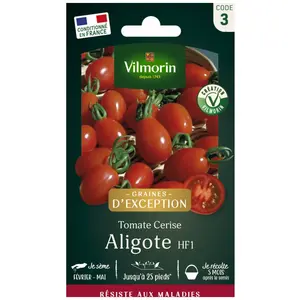Vilmorin - sachet graines Tomate Aligote HF1 vilmorin