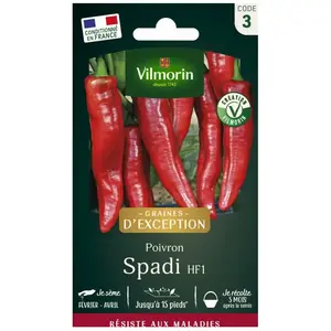 VILMORIN Piment doux Spadi