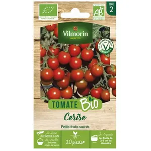 Tomate cerise bio Vilmorin