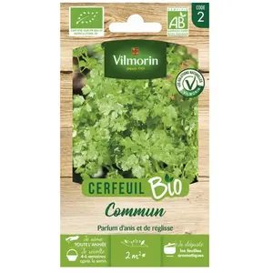 Vilmorin - Cerfeuil Commun - bio pas cher