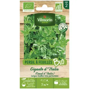 Persil géant d Italie bio Vilmorin pas cher