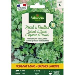 VILMORIN Persil géant d'Italie Grand Jardin - 12g pas cher