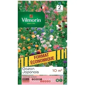 Gazon Japonais - VILMORIN - Graine - Ornement - Fleurs annuelles naines pas cher