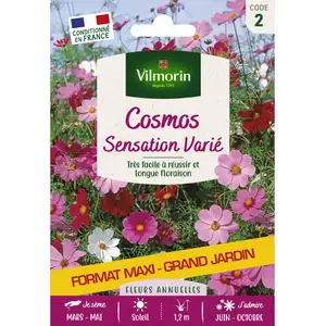 VILMORIN Cosmos sensation varié format éco pas cher