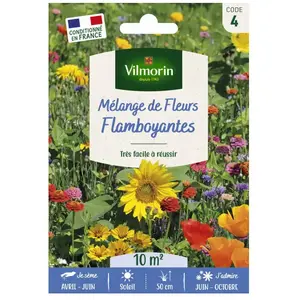 VILMORIN Mélange flamboyant pas cher