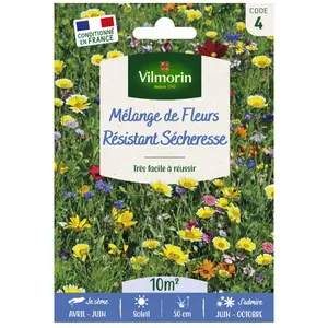 VILMORIN Mélange de fleurs - Mélange Résistant Sécheresse - 10 M²