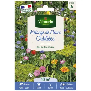 VILMORIN Sachet graines Mélange de Fleurs Oubliées 10m²