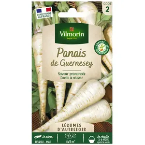 VILMORIN Panais de Guernesey pas cher