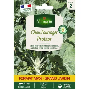 Vilmorin - Chou Fourrager Protéor (Obtention i.n.r.a.) - Grand Modèle pas cher