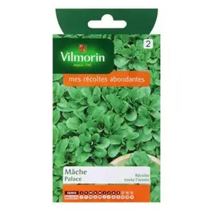 Graines de mâche variété "Palace" Vilmorin semis de janvier à septembre pas cher
