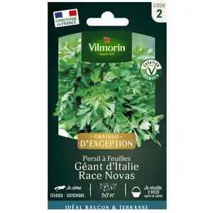 VILMORIN Persil géant d’Italie race Novas