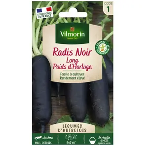 VILMORIN Radis noir long poids d'horloge pas cher