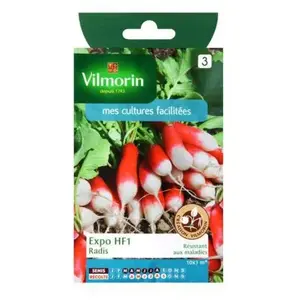 Graines de radis variété "Expo HF1" Vilmorin semis de mars à août