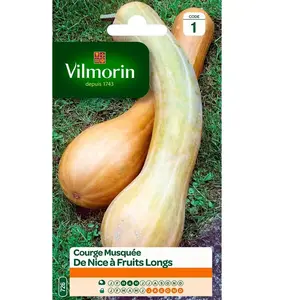 VILMORIN COURGE DE NICE A FRUIT LONG