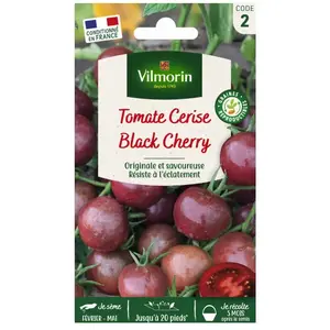 VILMORIN Tomate Black Cherry Sachet de graines pas cher