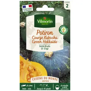 VILMORIN Sachet graines Potiron ( courge Kabocha ) Green Hokkaido pas cher