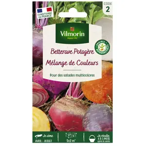 Vilmorin Betterave Mélange Arc en Ciel pas cher