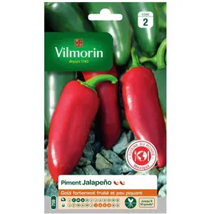 VILMORIN Sachet graines piment Jalapeño