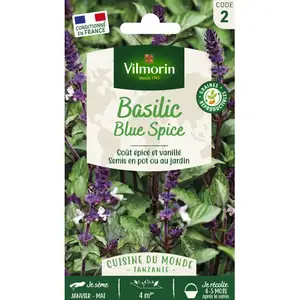 Vilmorin - Sachet graines Basilic Blue Spice pas cher
