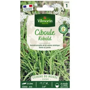 VILMORIN Sachet graines ciboule de chine pas cher