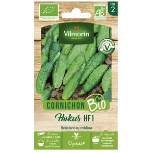 Vilmorin - Cornichon Hokus HF1 - bio pas cher