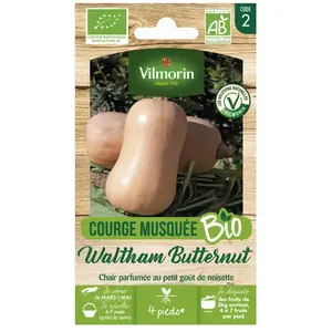 Vilmorin - Courge Musquée Waltham Butternut - bio pas cher