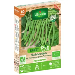 VILMORIN Haricot grimpant vert neckarkönigin 10m