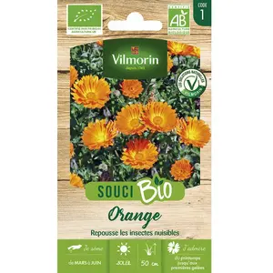 Vilmorin Sachet graines Souci Orange Bio - Calendula officinalis