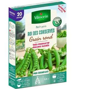 VILMORIN Sachet graines Pois ROI DES CONSERVES 20 mètres - Pisum sativum