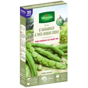 Vilmorin Fève d Aguadulce a très Longue cosse Boite série 20m, Vert pas cher