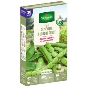 VILMORIN Graines de Feve de Séville à longue cosse - 20 mètres