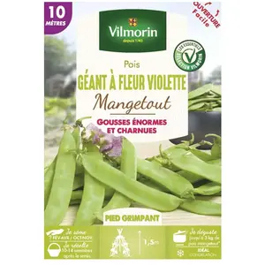 VILMORIN Sachet graines Pois Géant à fleur Violette 10 mètres - Pisum sativum pas cher