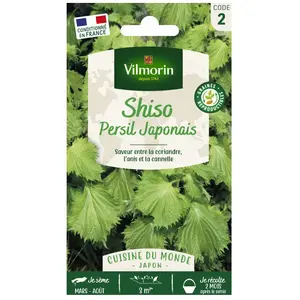 Graines de persil variété "Shiso Vert" Vilmorin semis d'avril à août