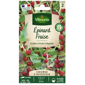 Vilmorin Epinard fraise pas cher