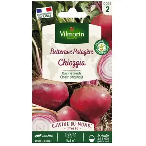 VILMORIN Sachet graines Betterave Chioggia