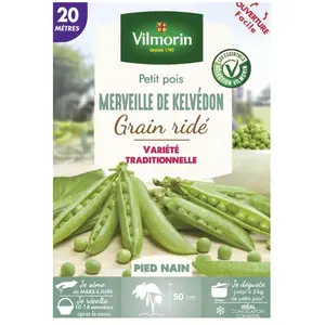 Vilmorin Pois Merveille de Kelvedon Boite série 20m, Vert pas cher
